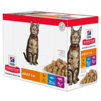 Science Plan™Tender Chunks in Gravy Adult 12x85 g Favorite