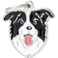 Sign, Border Collie